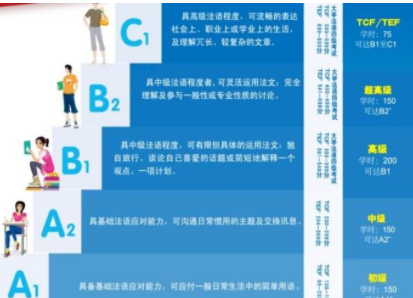 tef法語課程有什么？
