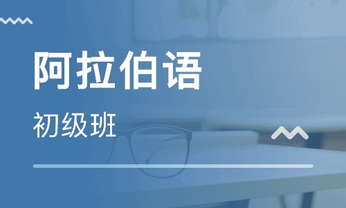 阿拉伯語哪里培訓靠譜？