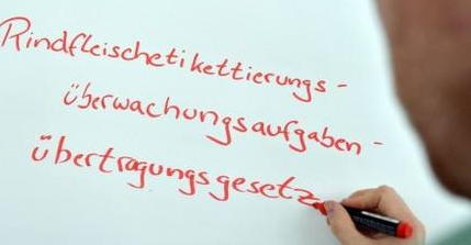 德語(yǔ)基礎(chǔ)入門培訓(xùn)要多久?