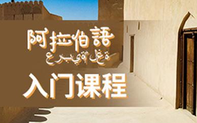 學(xué)習(xí)阿拉伯好嗎?有前途么？