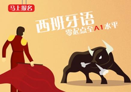 哪有培訓(xùn)西班牙語中級(jí)課程？