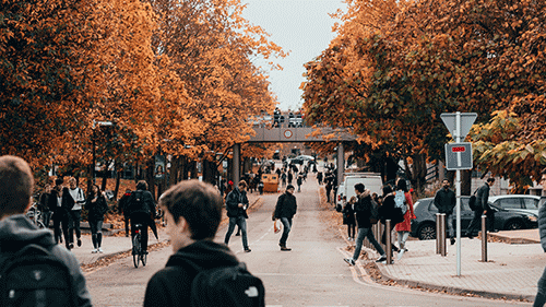 基礎意大利語學習網站，一篇全知道